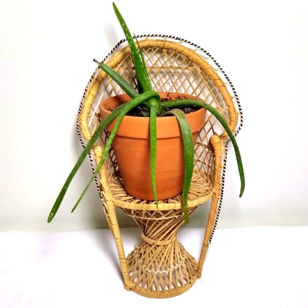 Vintage mini wicker peacock chair